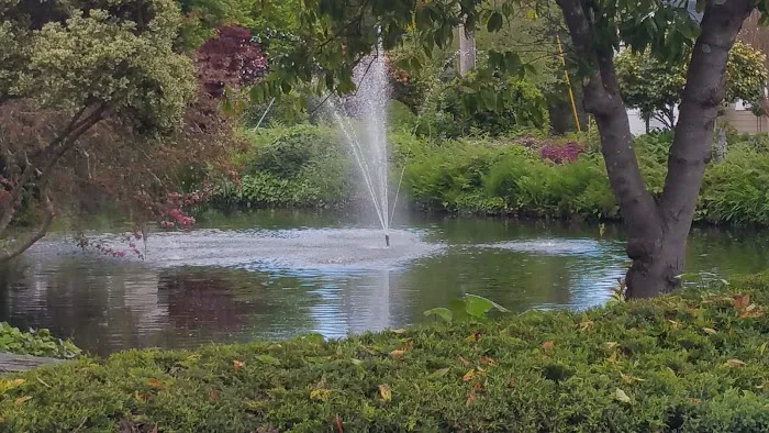 Spring Lakes Park Picture 4