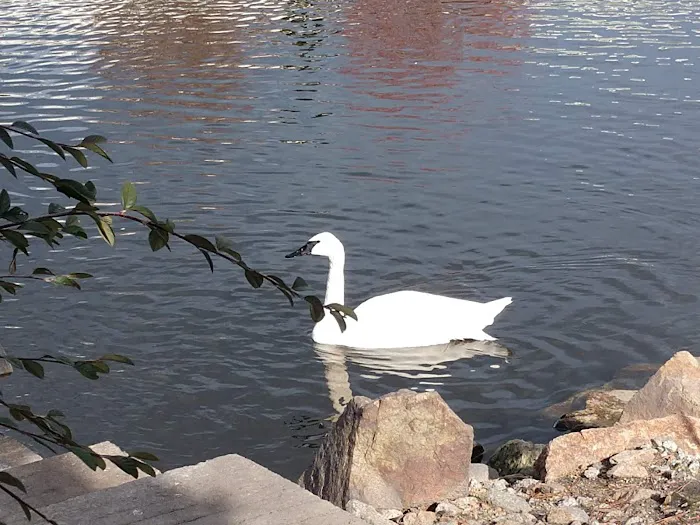 Spring Lakes Park Picture 7