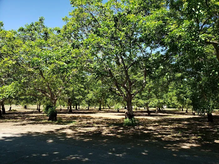 River View Mobile Home Community Picture 10
