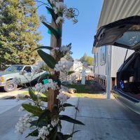 Edgewood Mobile Home Village ico
