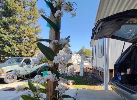 Edgewood Mobile Home Village