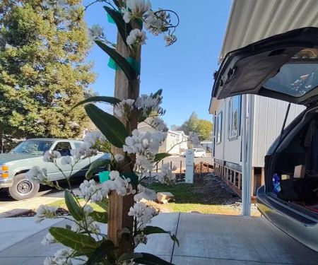 Edgewood Mobile Home Village