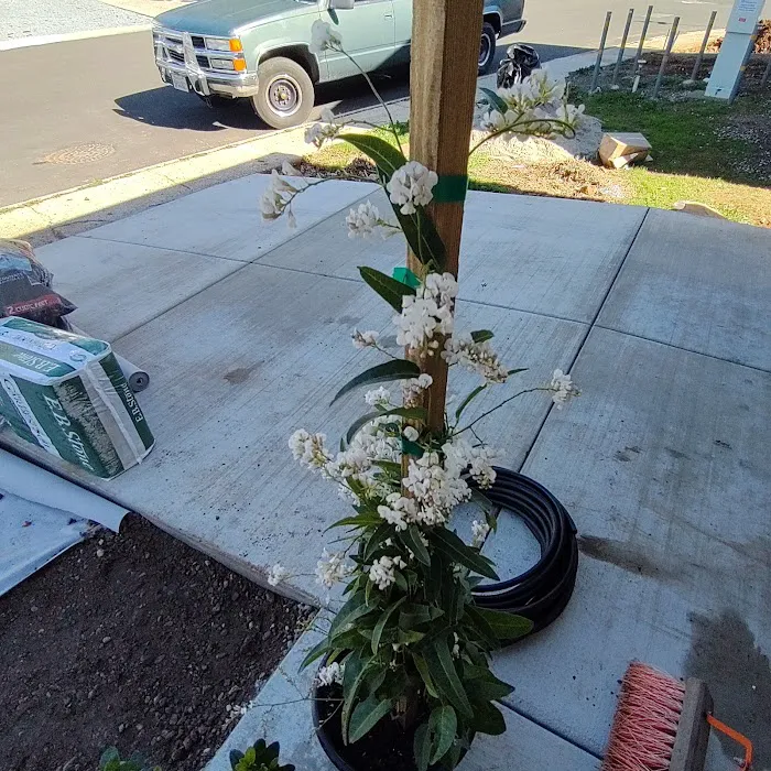 Edgewood Mobile Home Village Picture 2