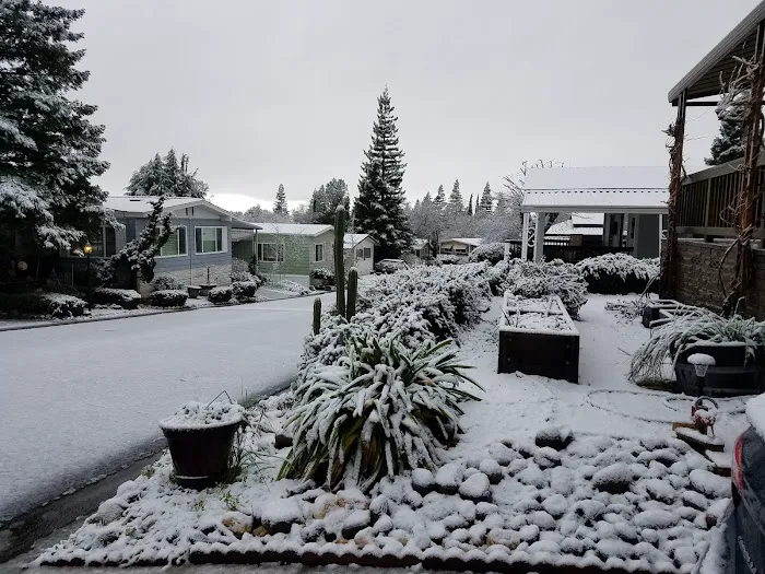 Woodside Village Mobile Home Park Picture 2