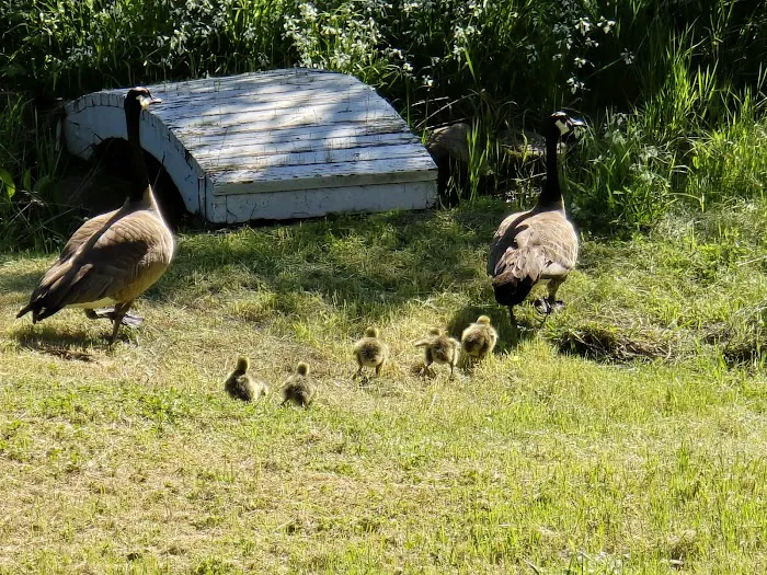 Rock Creek Mobile Home Park Picture 7