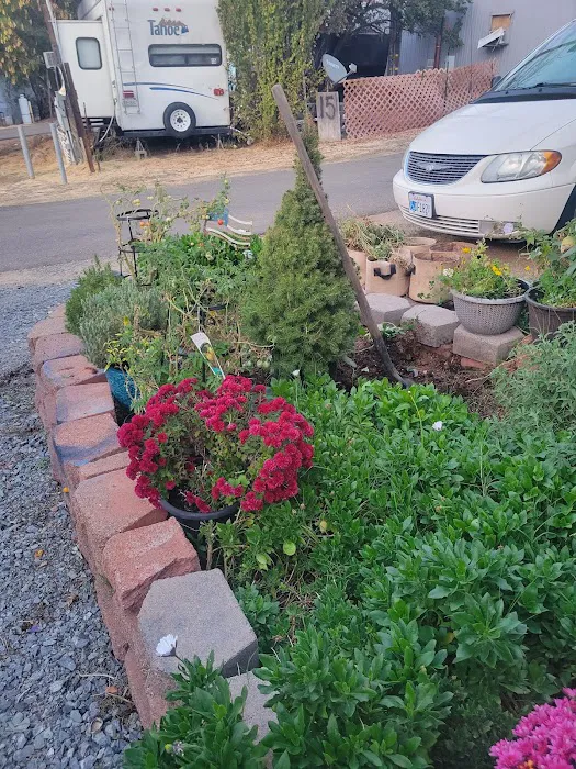 Flanigan Mobile Home Park Picture 8