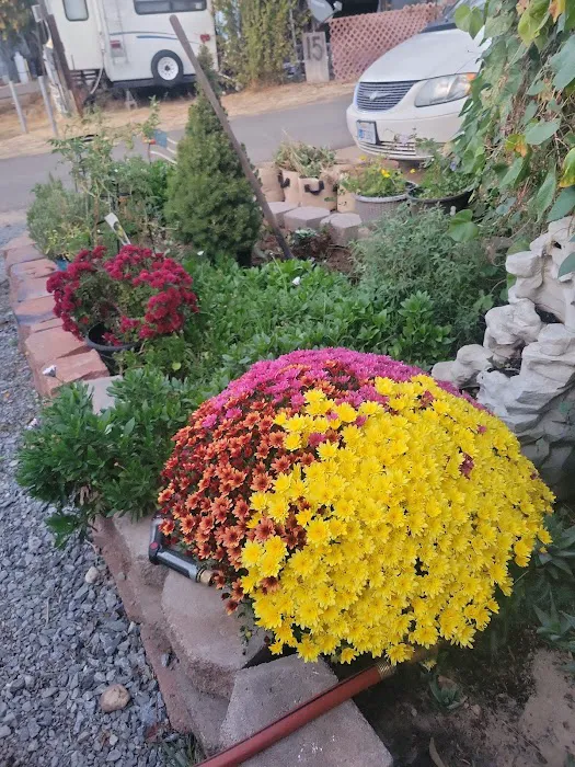 Flanigan Mobile Home Park Picture 10