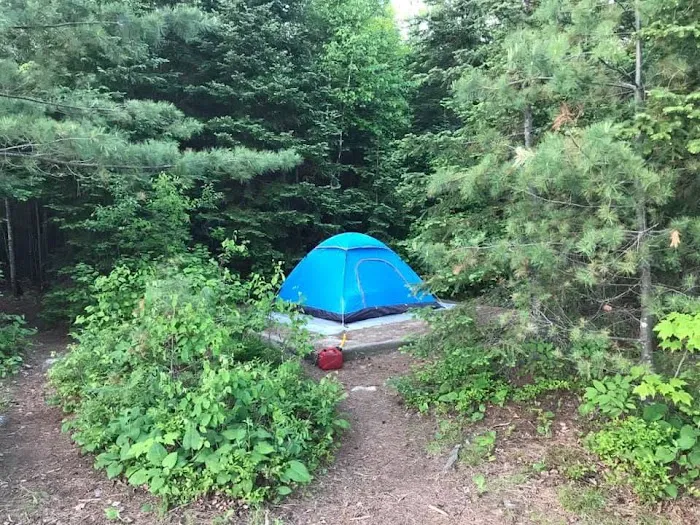 Kettle Portage N16 Campsite Picture 4