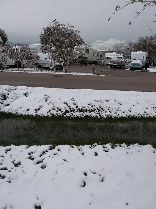 Brazos Mobile RV Park Picture 3