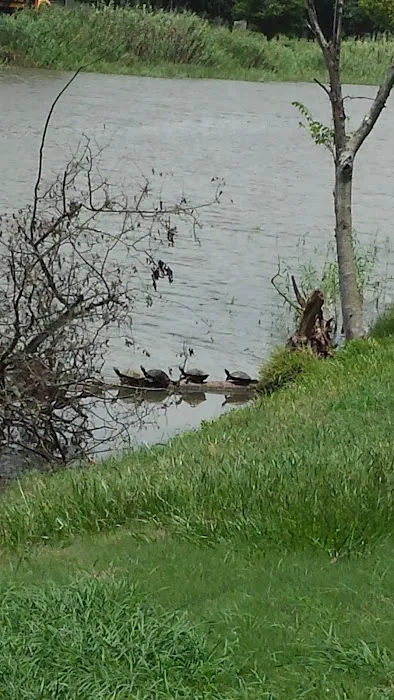 Oyster Creek RV Ranch Picture 7