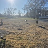 The Dam Campsites ico