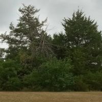 Manns Cove Campground ico