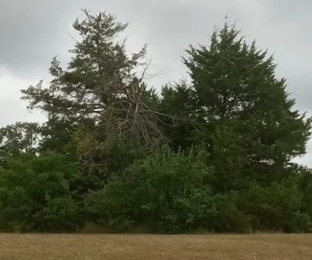 Manns Cove Campground