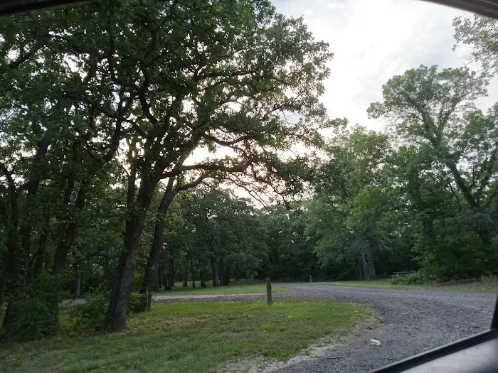 Manns Cove Campground Picture 6