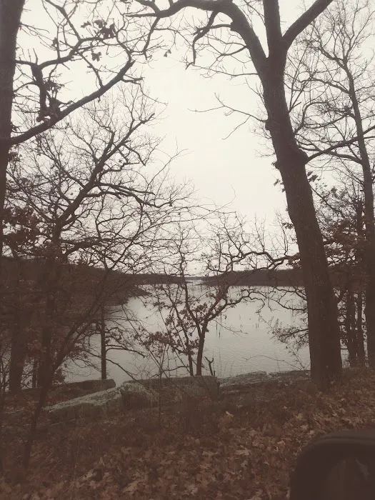 Manns Cove Campground Picture 7