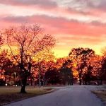 Highway 9 Campground