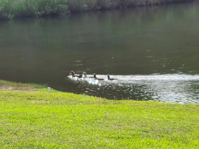 Hitchcock RV Park Picture 5