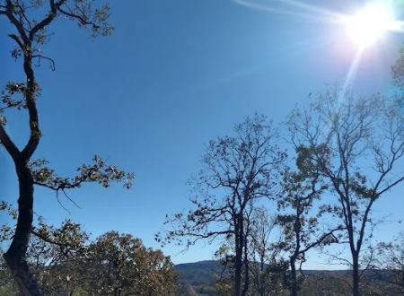 True Grit RV Park