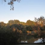 Gentry Creek