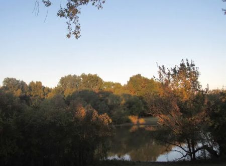 Gentry Creek