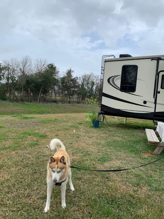 Little Thicket RV Park Picture 7