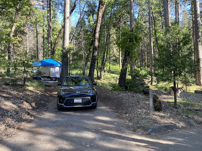 Coy Flat Campground Picture 10