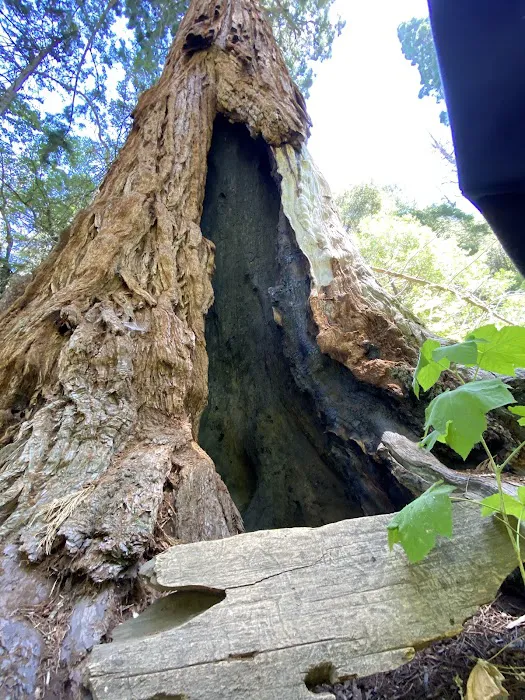 Coy Flat Campground Picture 5