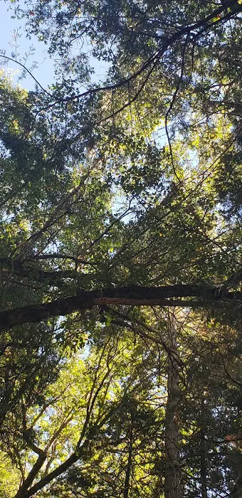 Coy Flat Campground Picture 7