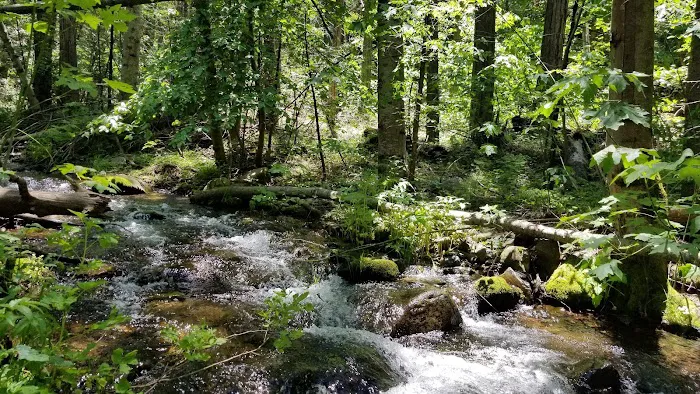 Coy Flat Campground Picture 9
