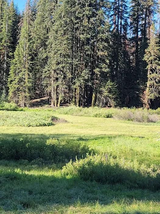 Quaking Aspen Campground Picture 4