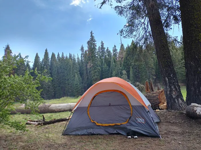 Quaking Aspen Campground Picture 6