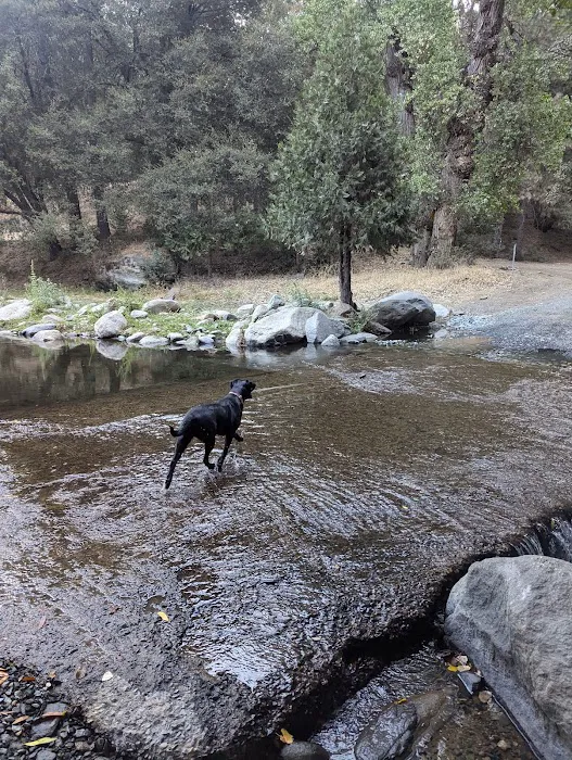 Cholollo Campground Picture 8