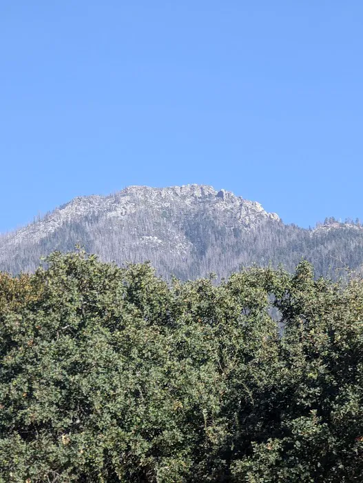 Cholollo Campground Picture 1