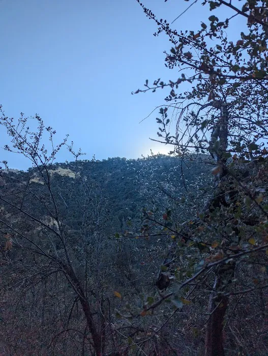 Cholollo Campground Picture 10