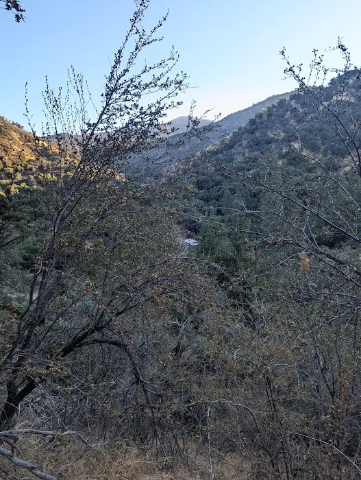 Cholollo Campground Picture 7