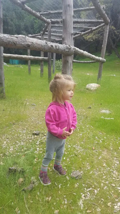 Cholollo Campground Picture 4