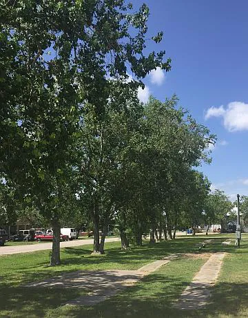 Flag City RV & Mobile Home Village Picture 4