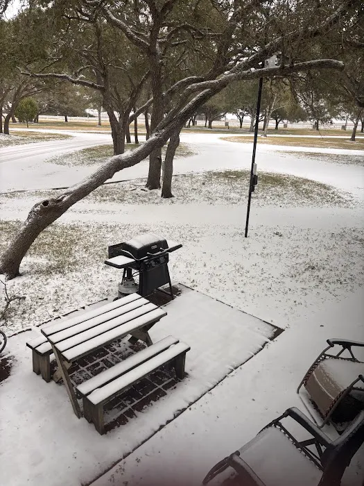 Shady Oaks RV Park & Campground Picture 4