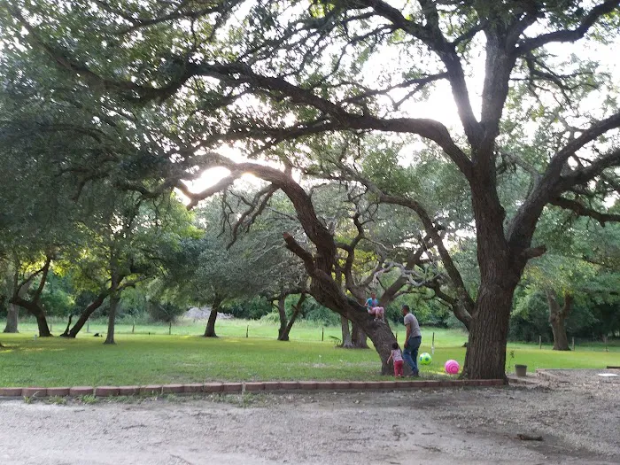 Shady Oaks RV Park & Campground Picture 5