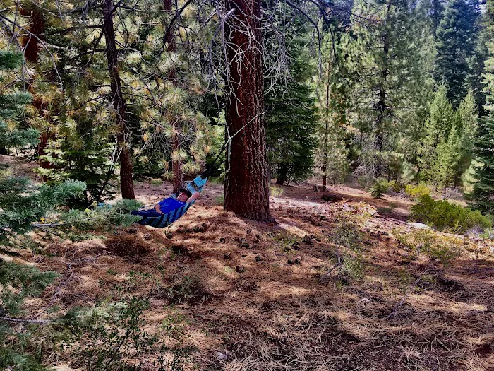 Upper Peppermint Campground Picture 5