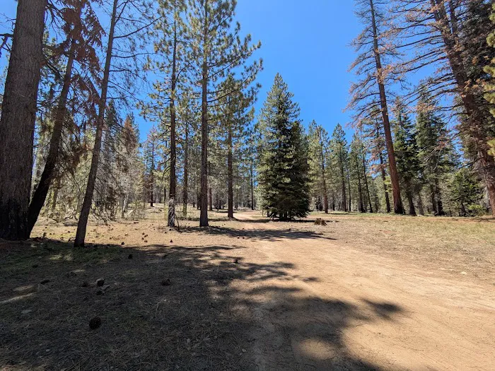Upper Peppermint Campground Picture 7