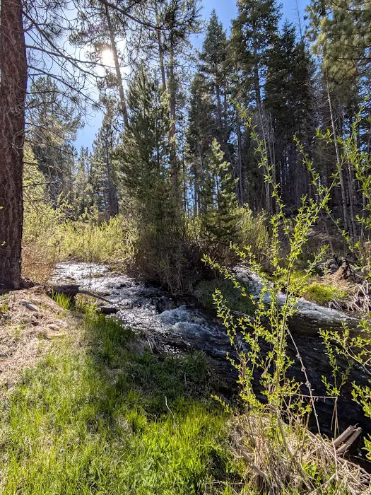Upper Peppermint Campground Picture 8