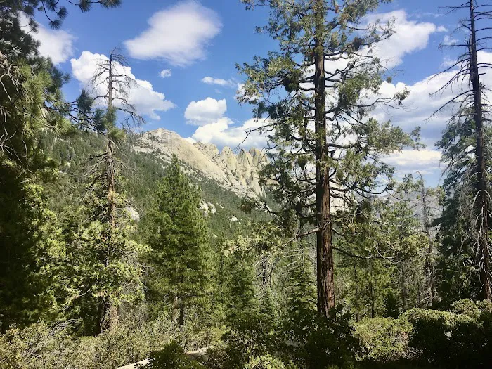 Upper Peppermint Campground Picture 6