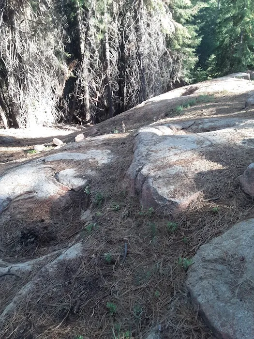 Upper Peppermint Dispersed Area Picture 4