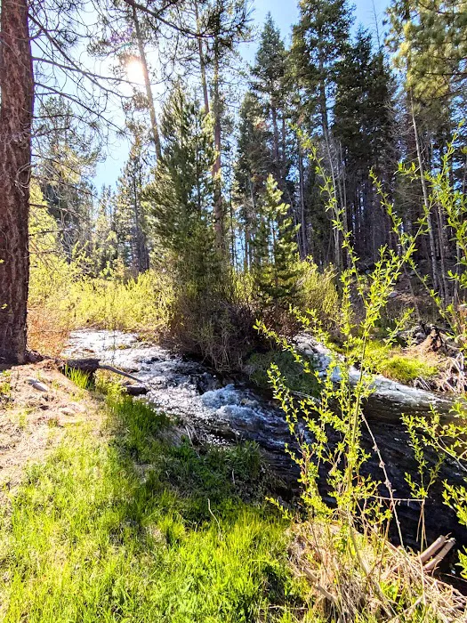 Upper Peppermint Dispersed Area Picture 2