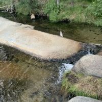 Lower Peppermint Campground ico