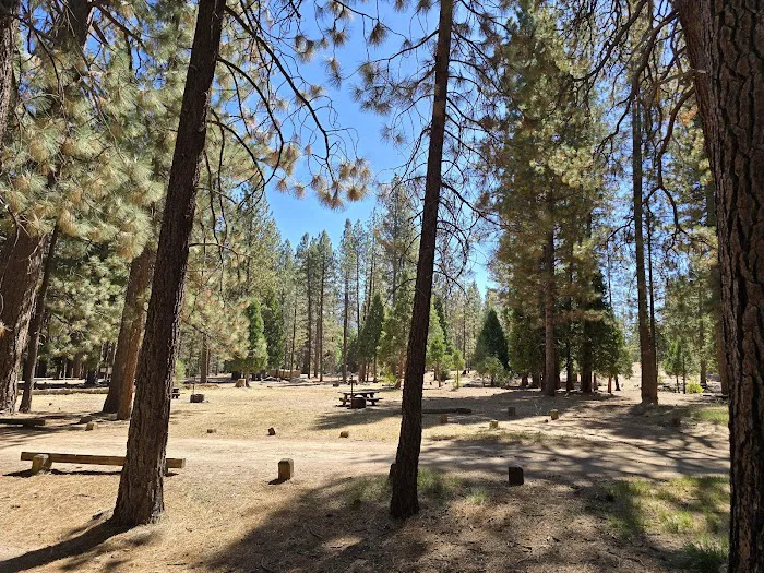 Lower Peppermint Campground Picture 9