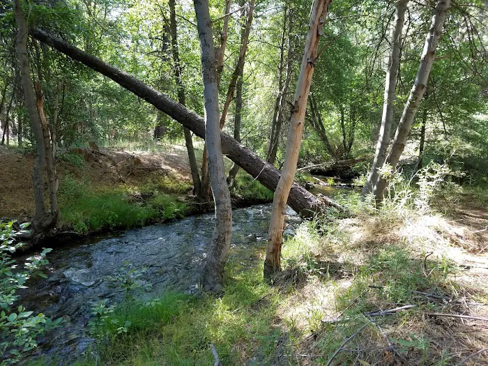 Lower Peppermint Campground Picture 10