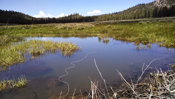 Troy Meadow Campground Picture 9