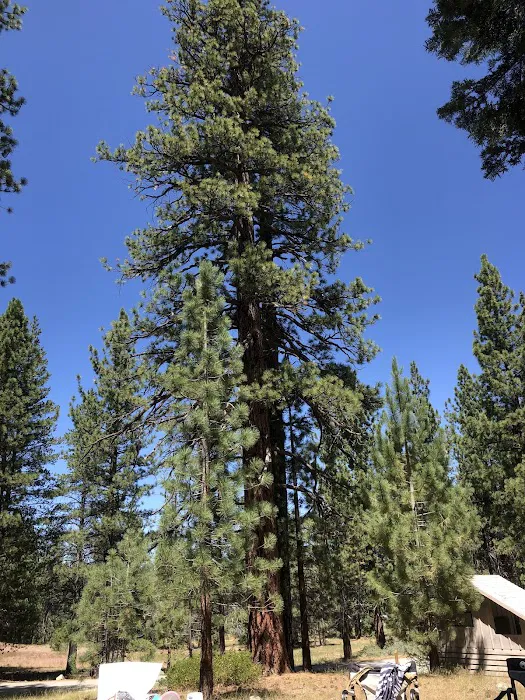 Troy Meadow Campground Picture 1
